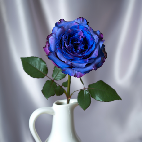 蓝色玫瑰